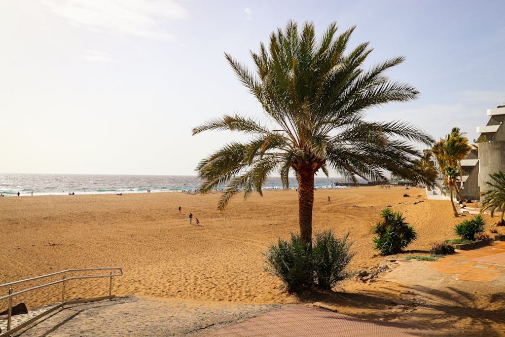 עקרונות יצירת פינות הירגעות בבית ובמשרד: מדריך למקצוענים